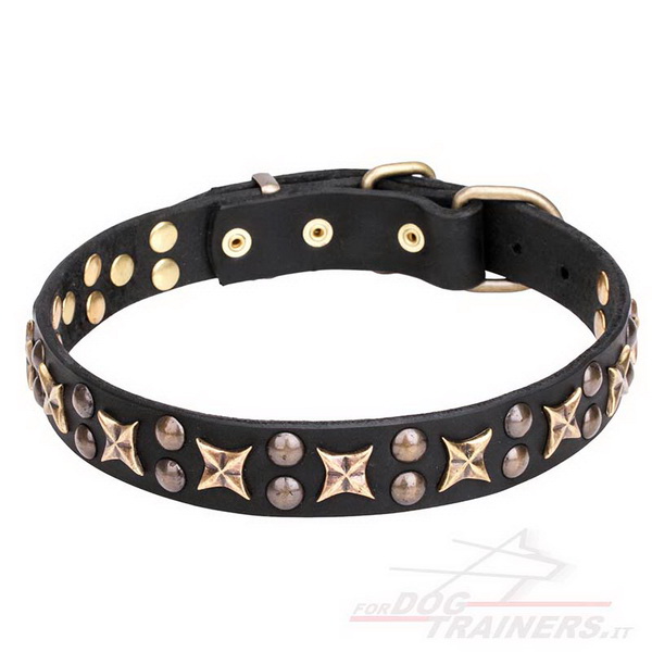 Collare nero con borchie decorative in ottone per cane